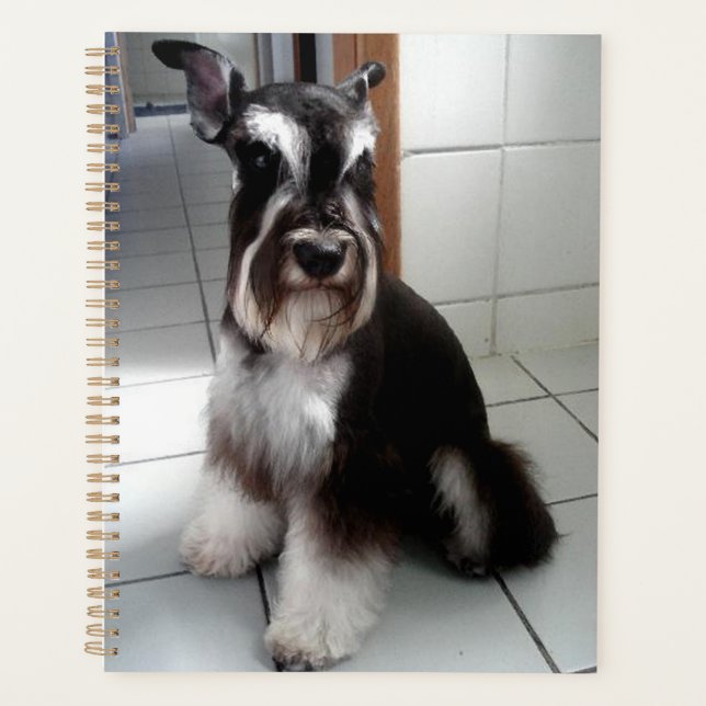 Miniature Schnauzer Black and Silver Sitting Planner (Front)