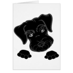 miniature schnauzer black peeking