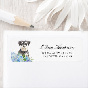 Miniature Schnauzer Blue Hydrangea Adresse de reto