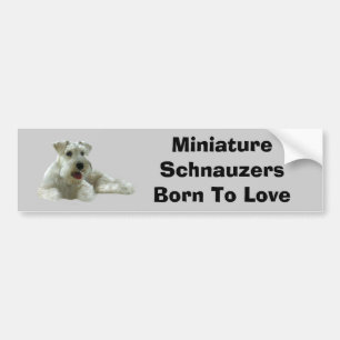 Miniature Schnauzer Bumper Sticker