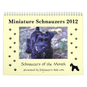 Miniature Schnauzer Calendar