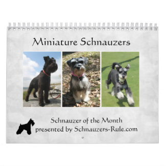 Miniature Schnauzer Calendar