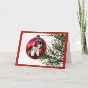 Miniature Schnauzer Christmas Card Ball Hanging