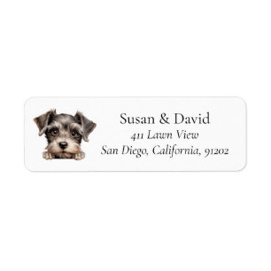 Miniature Schnauzer Dog Breed Pet Lovers