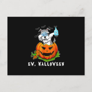 Miniature Schnauzer Ew Halloween Pumpkin Washing Postcard