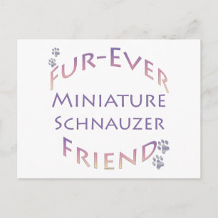 Miniature Schnauzer Furever Postcard
