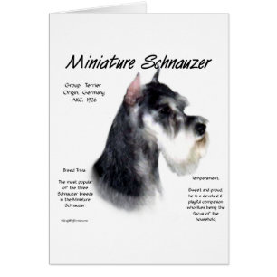 Miniature Schnauzer History Design