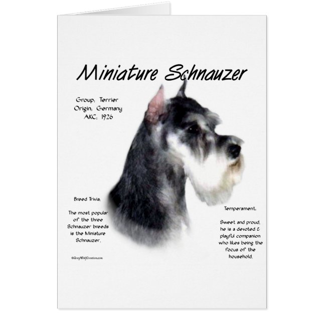 Miniature Schnauzer History Design (Front)