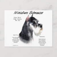Miniature Schnauzer History Design