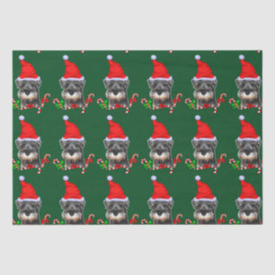 Miniature Schnauzer in Santa Hat Tissue Paper