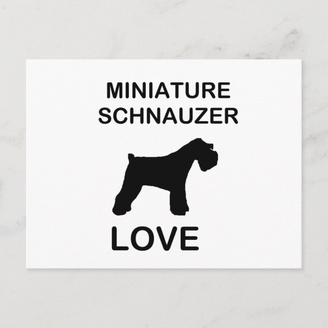Miniature_Schnauzer love Postcard (Front)