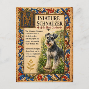 Miniature Schnauzer, Medieval Bestiary Art Postcard