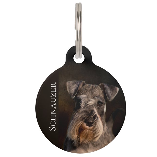 Miniature Schnauzer Pet Tag (Front)