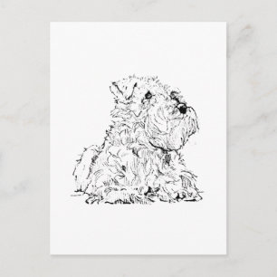 Miniature Schnauzer Postcard – Dog Illustration