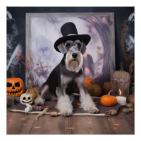 Miniature Schnauzer Pumpkins Halloween Scary
