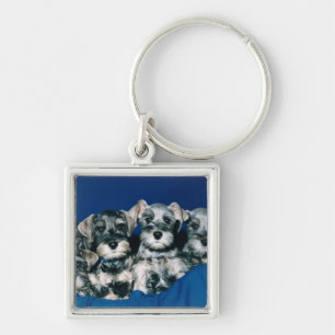 Miniature Schnauzer Puppies Keychain