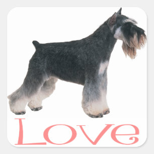 Miniature Schnauzer Puppy Dog Pink Love Sticker
