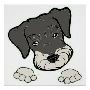 miniature schnauzer salt and pepper peeking poster