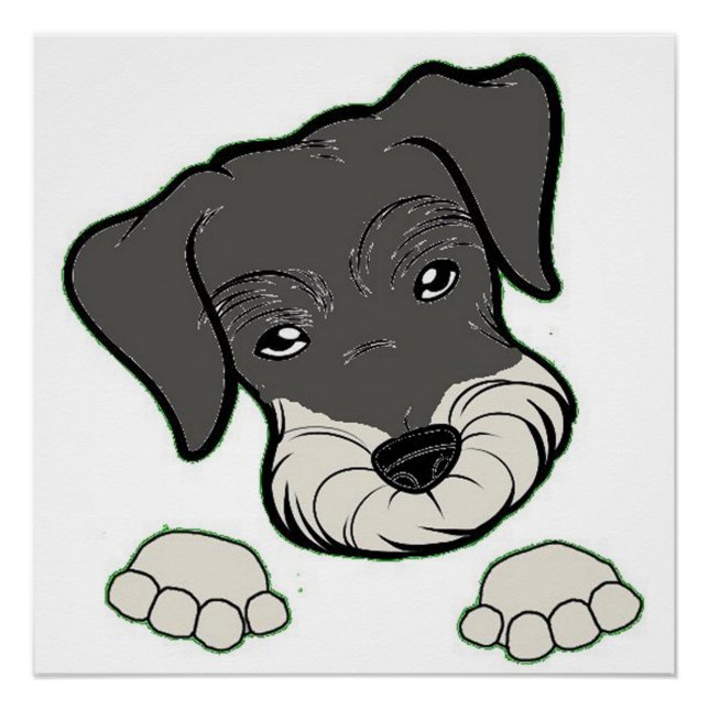 miniature schnauzer salt and pepper peeking poster (Front)