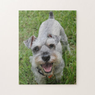 Miniature Schnauzer Smiling Jigsaw Puzzle