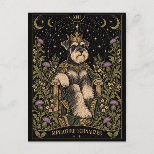 Miniature Schnauzer, Starlit Tarot Art Postcard
