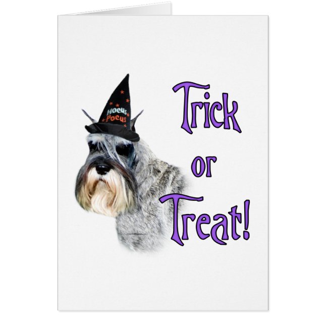 Miniature Schnauzer Trick (Front)