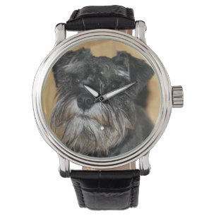 Miniature Schnauzer Watch