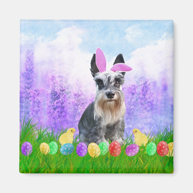 Miniature Schnauzer with Easter Eggs Bunny Chicks Magnet (Front)