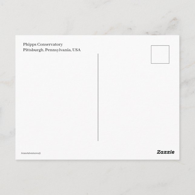 Miniature Trolly Postcard (Back)