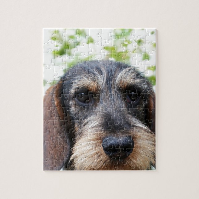 Miniature Wire Haired Dachshund Jigsaw Puzzle (Vertical)