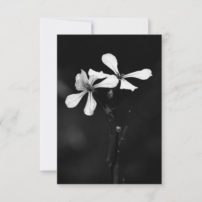minimal black and white floral (Front)