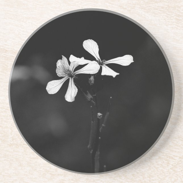 minimal black and white floral coaster (Front)
