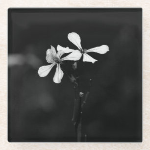 minimal black and white floral glass coaster