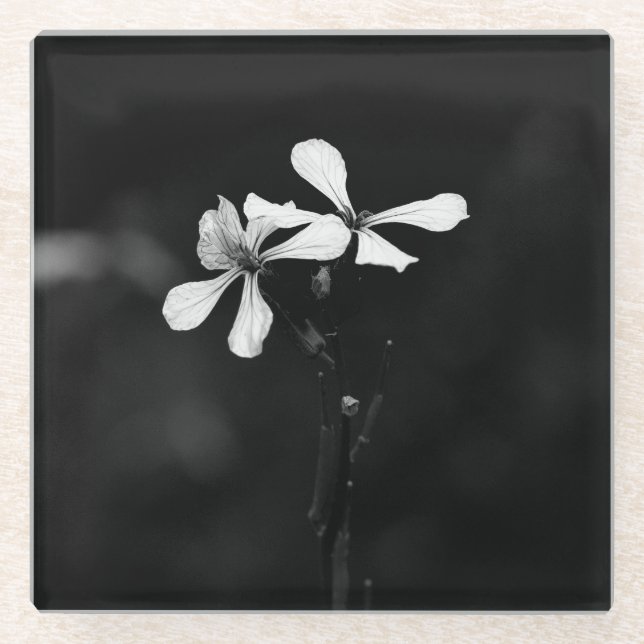 minimal black and white floral glass coaster (Front)
