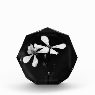 minimal black and white floral photo block