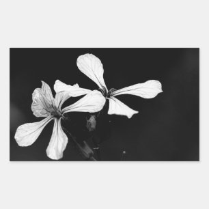 minimal black and white floral sticker