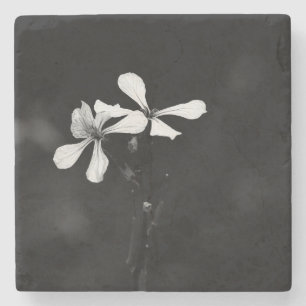 minimal black and white floral stone coaster