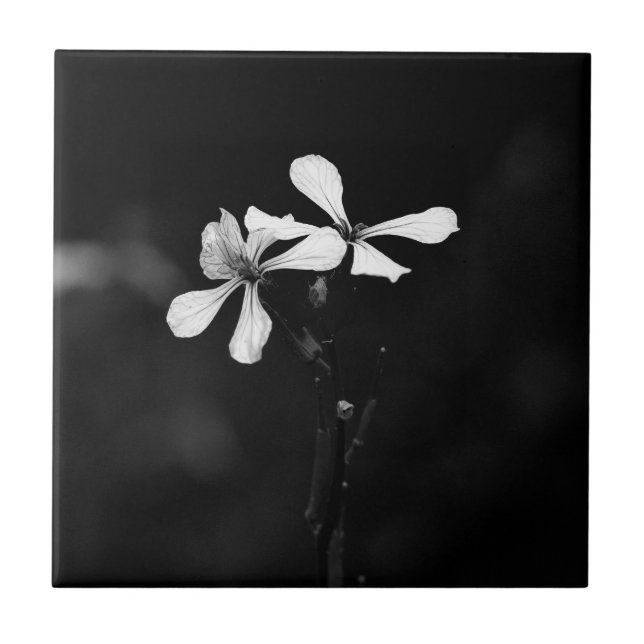 minimal black and white floral tile (Front)