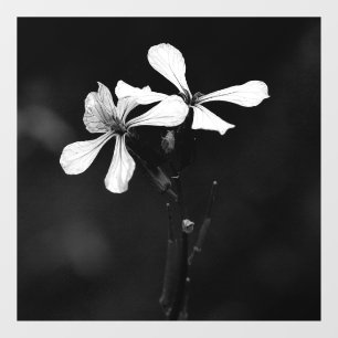 minimal black and white floral window cling