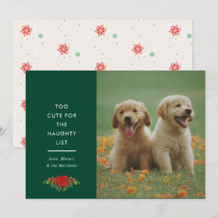 Minimal Cute Saying Pet Christmas Photo  Holiday Card