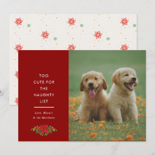 Minimal Cute Saying Pet Christmas Photo Holiday Card