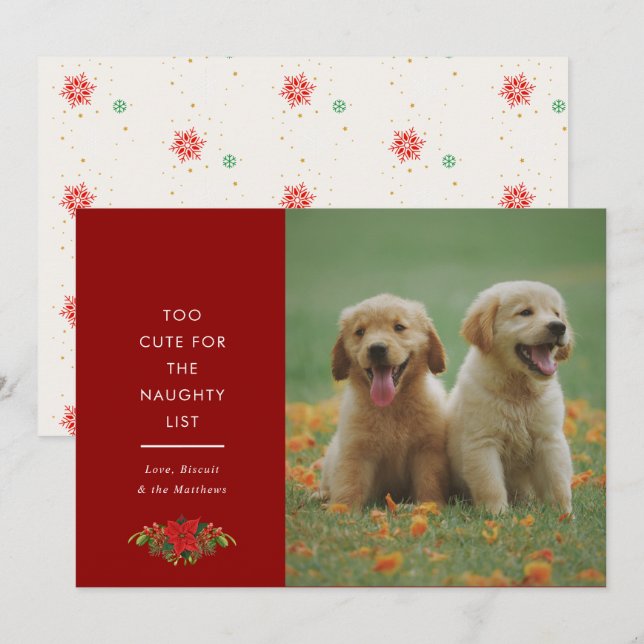 Minimal Cute Saying Pet Christmas Photo  Holiday Card (Front/Back)
