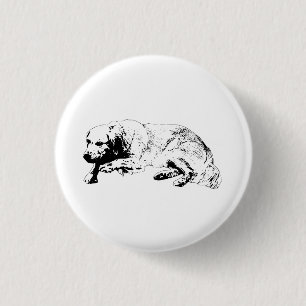 Minimal Dog Pin Shares Strong Sweet Restful Mood