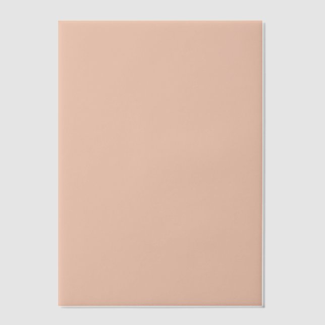 Minimal Elegant Terracotta Wedding Vellum Invitations (Front)