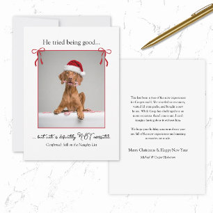 Minimal Funny Naughty Dog Cat Pets Christmas Card