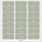 Minimal Leaf Sage Green Guest Address Labels