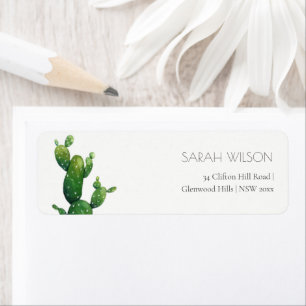 Minimal Potted Cactus Green Foliage Address