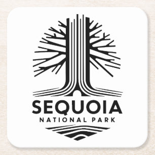 Minimal Sequoia National Park Square Paper Coaster