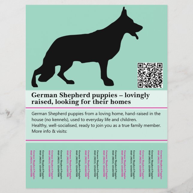 Minimal Shepherd Dog personalized Flyer (Front)