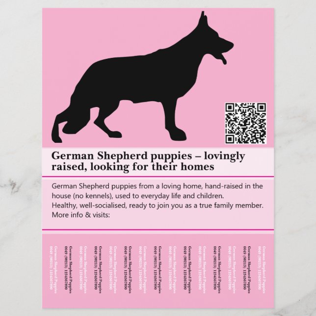 Minimal Shepherd Dog personalized Flyer (Front)